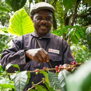 Plantator kawy Bamenda